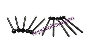 ELRİNG Silindir Kapak Saplaması Takımı 036103384B 803740